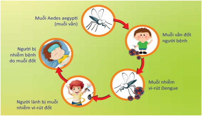 Bài tuyên truyền phòng chống bệnh sốt xuất huyết