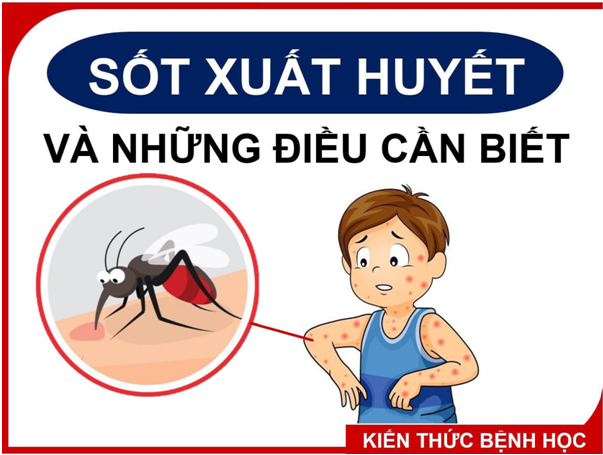 Sốt xuất huyết và những điều cần biết