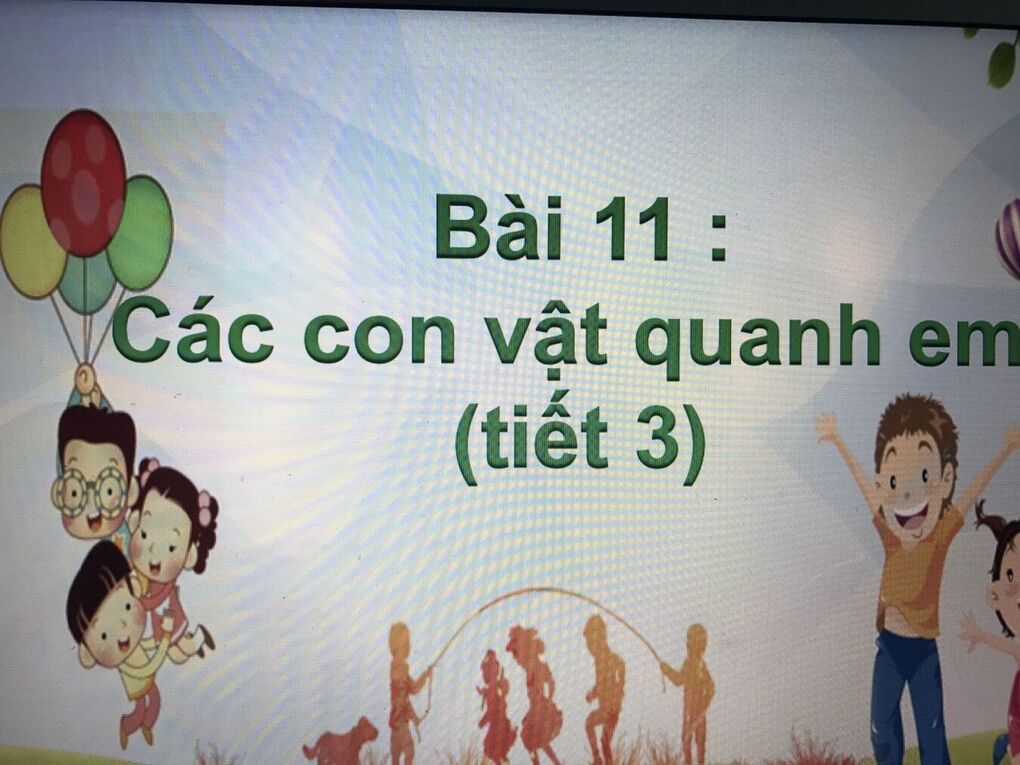 Tự nhiên và Xã hội – môn học yêu thích của các bạn học sinh Khối 1
