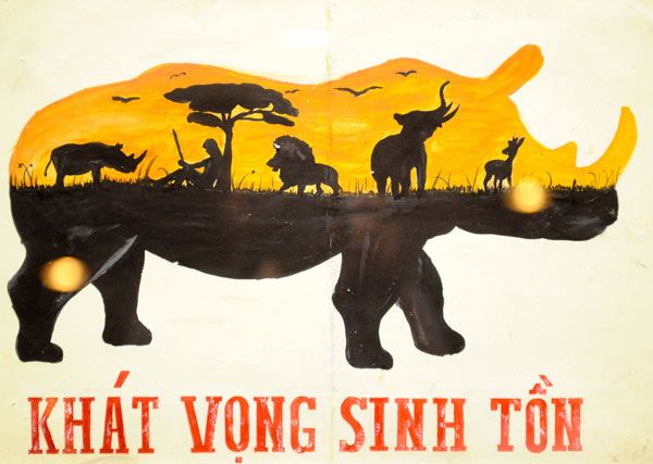 Cùng nhau ngăn chặn nạn buôn bán động vật hoang dã