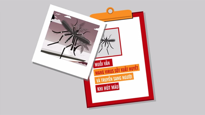 Những hiểu biết chưa đúng về bệnh Sốt xuất huyết