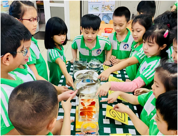 Cùng khám phá thế giới loài vật sống dưới nước  Chuyên đề Tự nhiên và Xã hội – Lớp 2