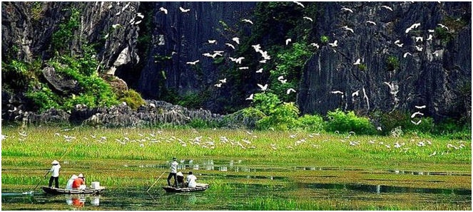 Bảo tồn và phục hồi hệ sinh thái có ý nghĩa quan trọng với khí hậu  và đa dạng sinh học