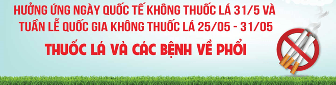 Tăng cường thực thi Luật Phòng, chống tác hại của thuốc lá và hưởng ứng Tuần lễ quốc gia không thuốc lá
