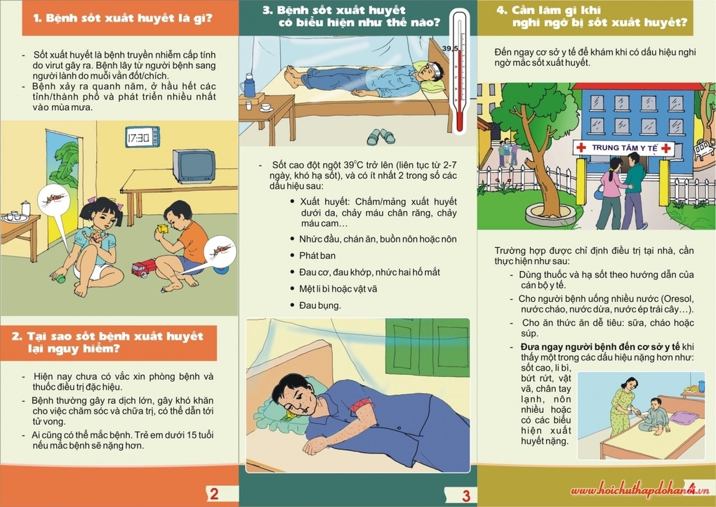 Sốt xuất huyết và cách xử lí khi nhiễm bệnh