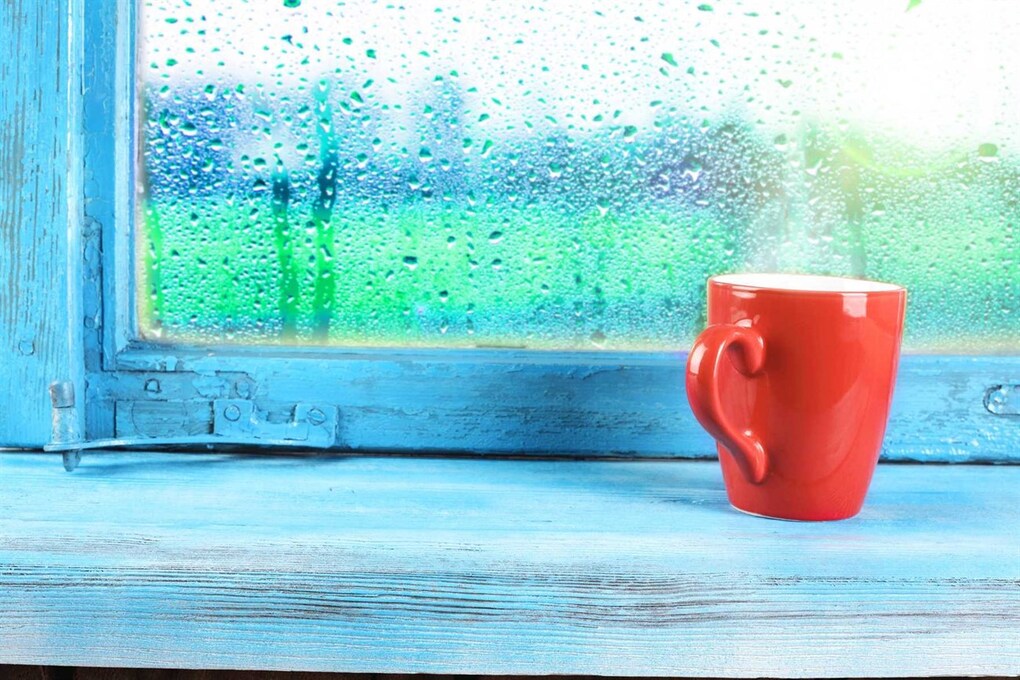 Những điều bạn có thể làm để chống nồm, ẩm hiệu quả