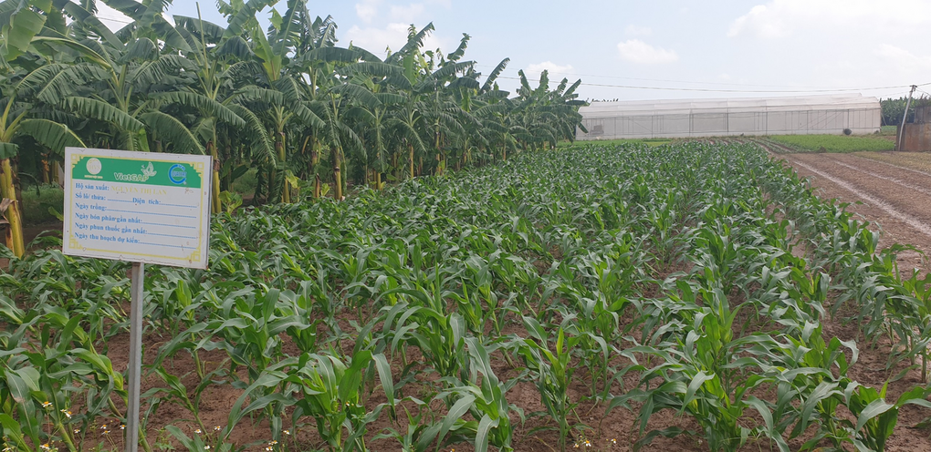 Tham quan công ty cung cấp thực phẩm phục vụ công tác bán trú 2022