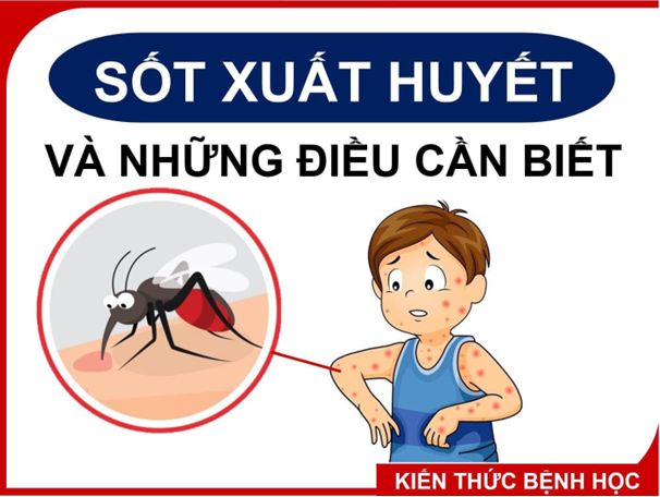 2024-11-BÀI TUYÊN TRUYỀN PHÒNG CHỐNG BỆNH SỐT XUẤT HUYẾT