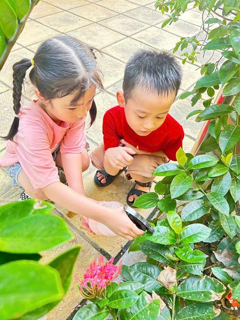 Học sinh khối 1 trường Tiểu học Đại Yên hưởng ứng ngày  Quốc tế bảo vệ tầng Ôzôn( 16/09/2025)