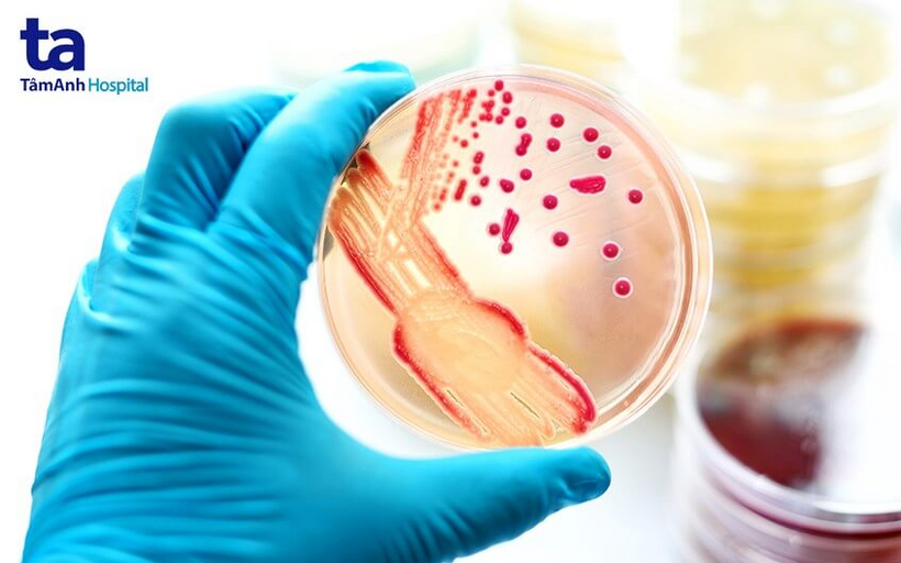 bien chung benh dau mua khi