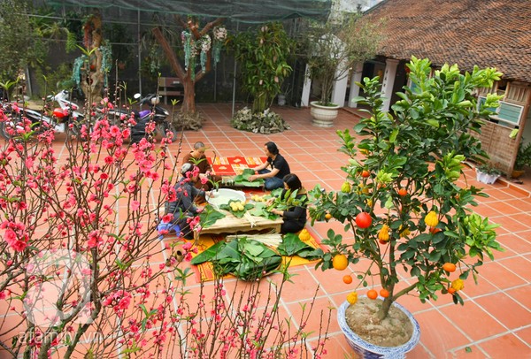 C:\Users\Administrator\Desktop\ảnh tết\ảnh tết 3.jpg