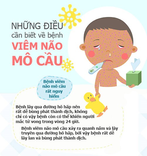 https://8486d3381d.vws.vegacdn.vn/UploadFolderNew/SGDLongBien/Image/thngocthuy/admin/infographic-nhung-dieu-can-biet-ve-viem-mang-nao-mo-cau-1-1457348114-width500height530.jpg?w=1130