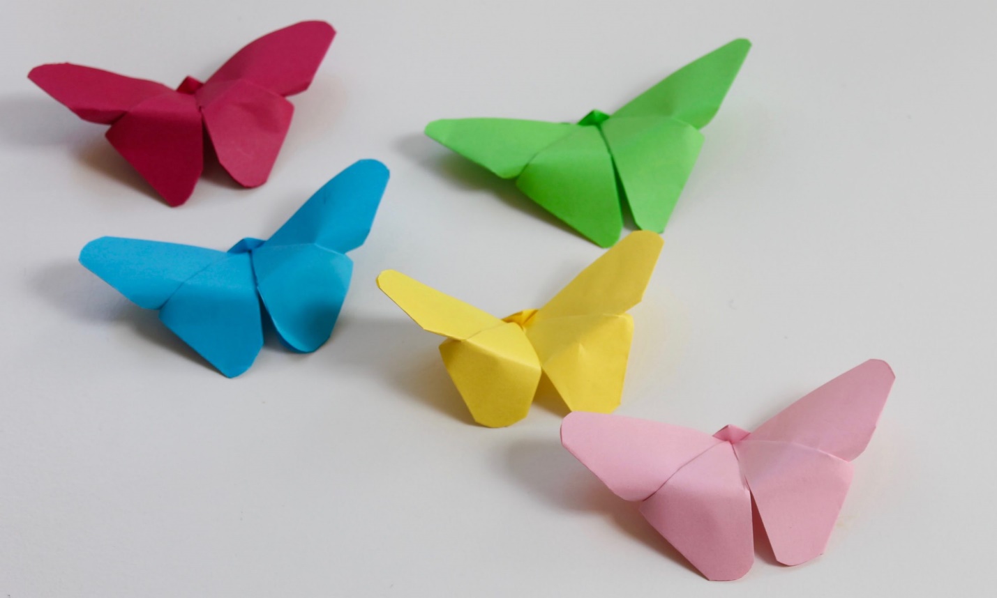 Cách gấp con bướm Origami bằng giấy cực đơn giản -