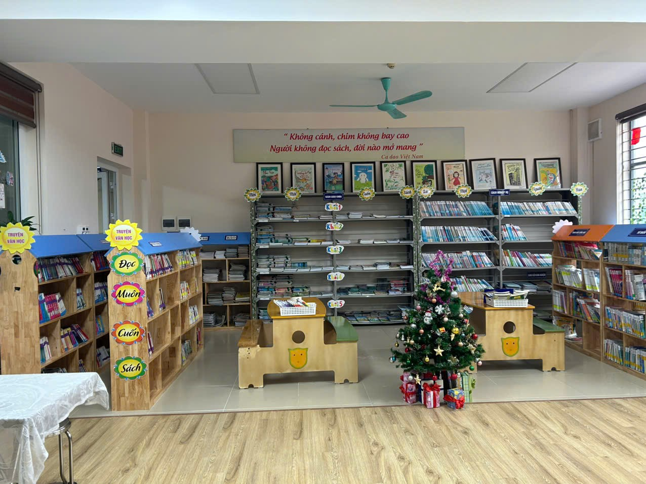 A room with shelves and a tree
Description automatically generated