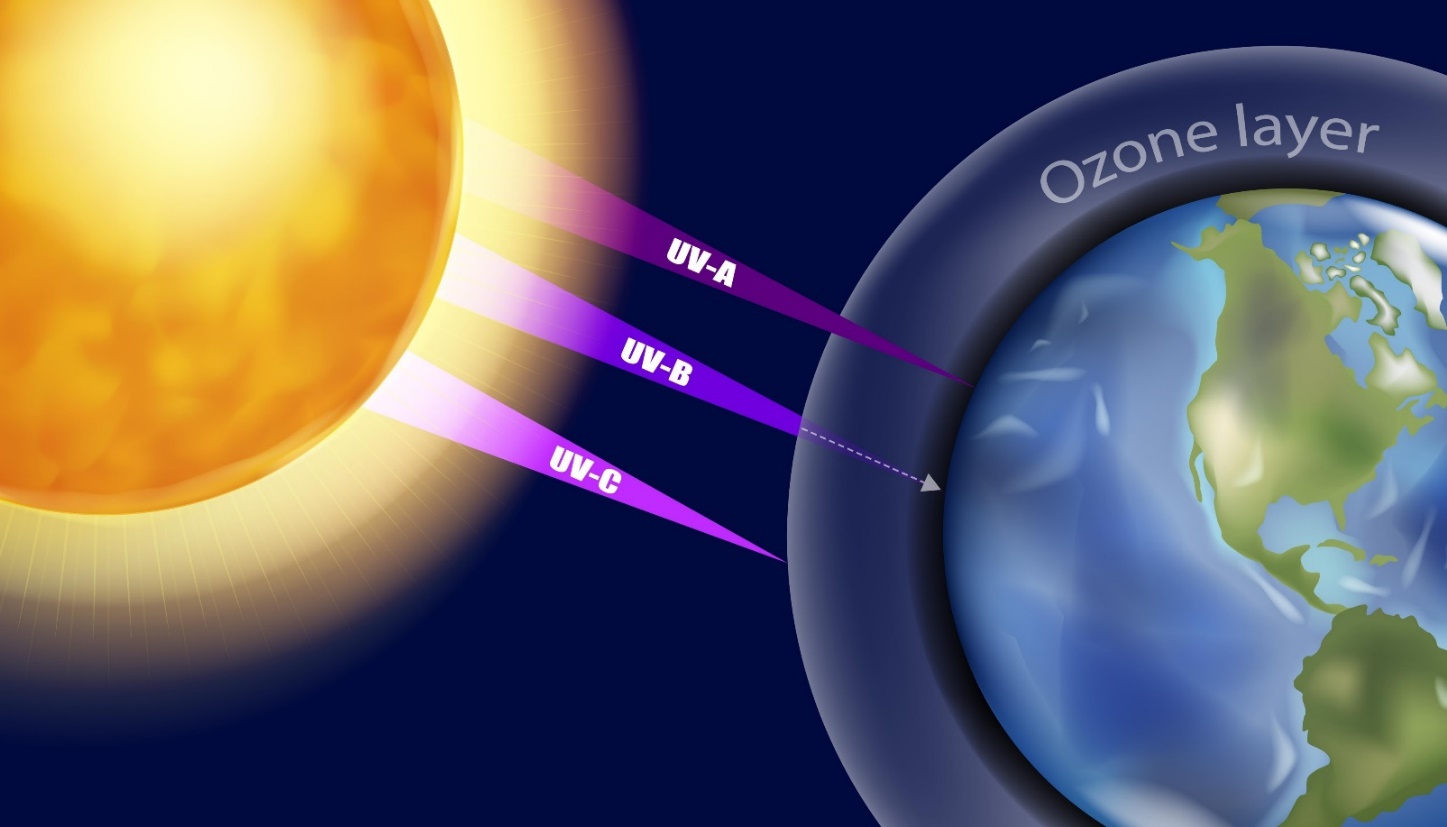 Hình ảnh về the ozone hole