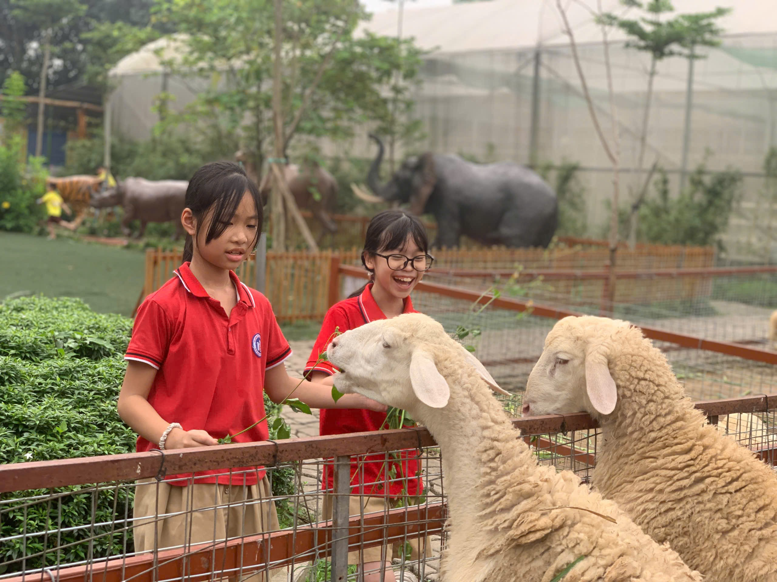 A group of girls feeding sheep

AI-generated content may be incorrect.