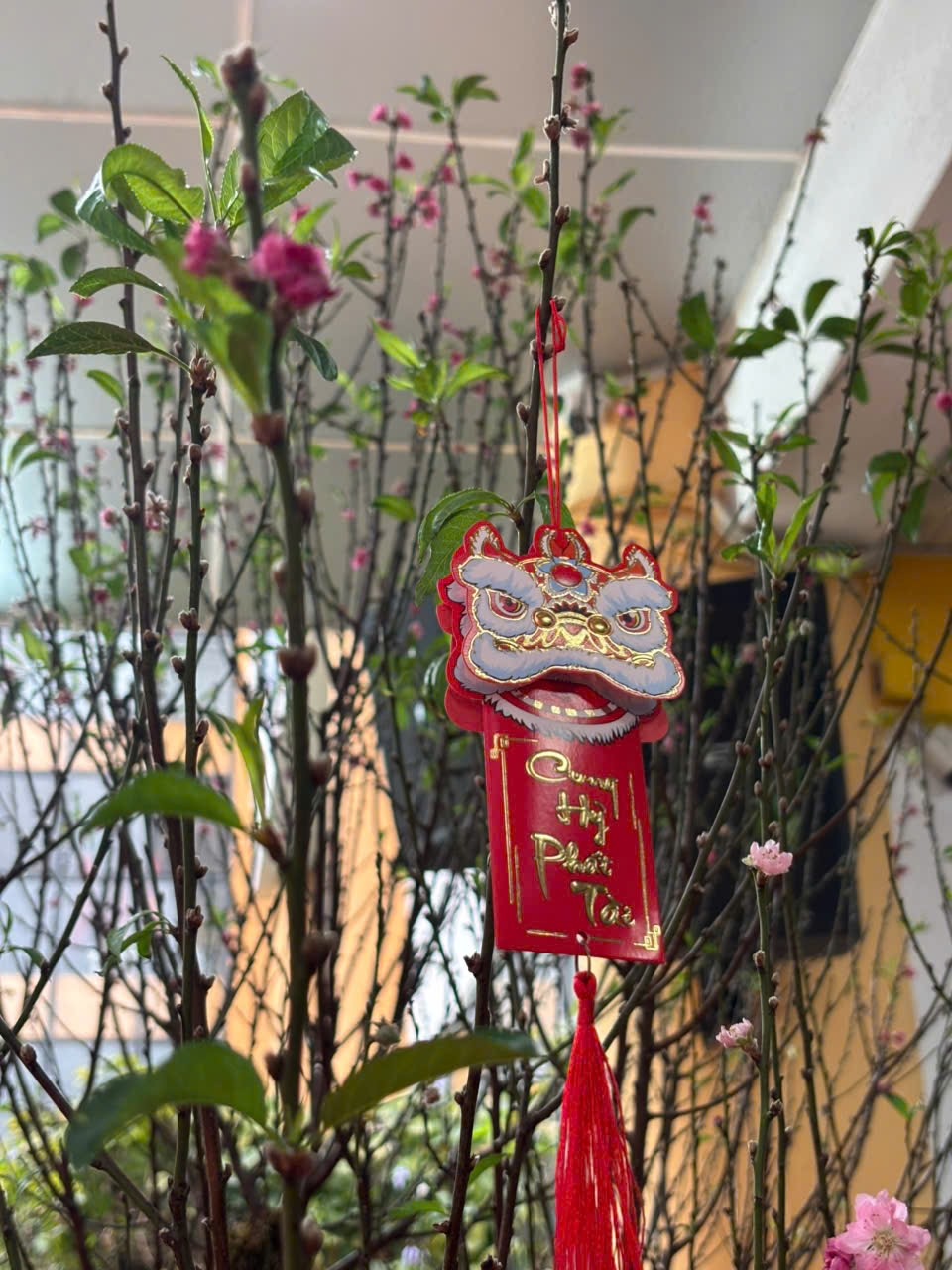 A red and white tag from a tree branch

AI-generated content may be incorrect.